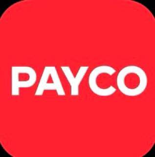 ✔️【PAYCO】 已完成订单支付，使用付款地址，完成确认订单，自动发货领取。