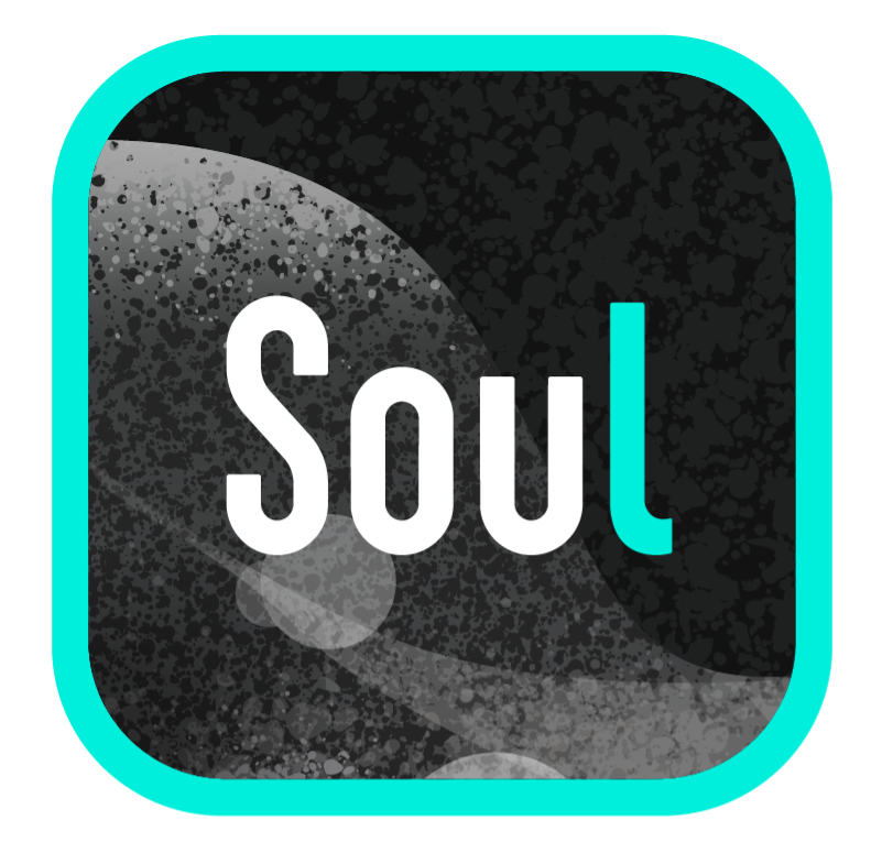 ✔️【 Soul】 已完成订单支付，使用付款地址，完成确认订单，自动发货领取。